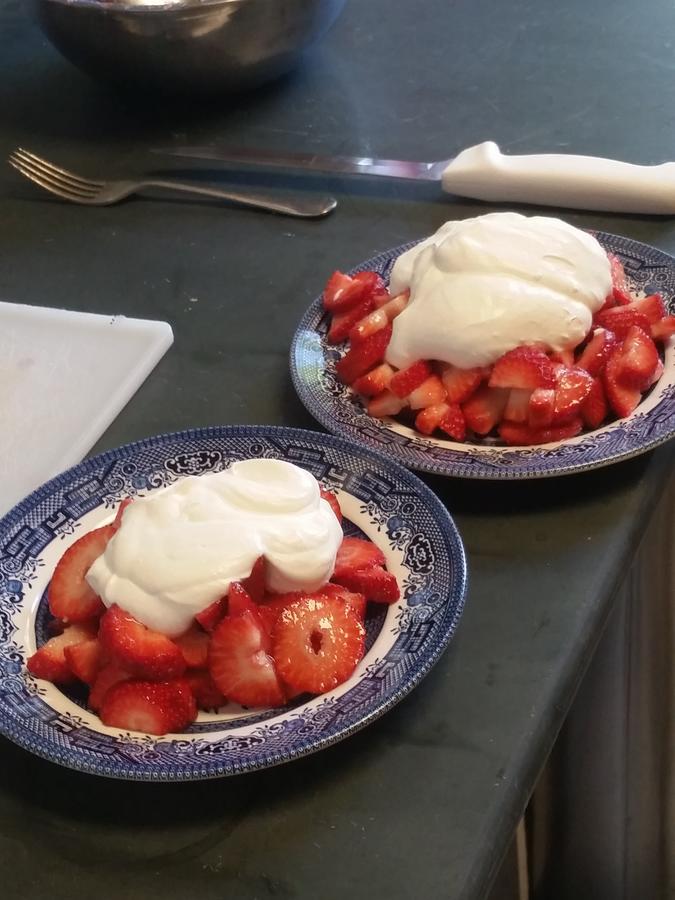 Spahn House Bed And Breakfast 세나토비아 외부 사진