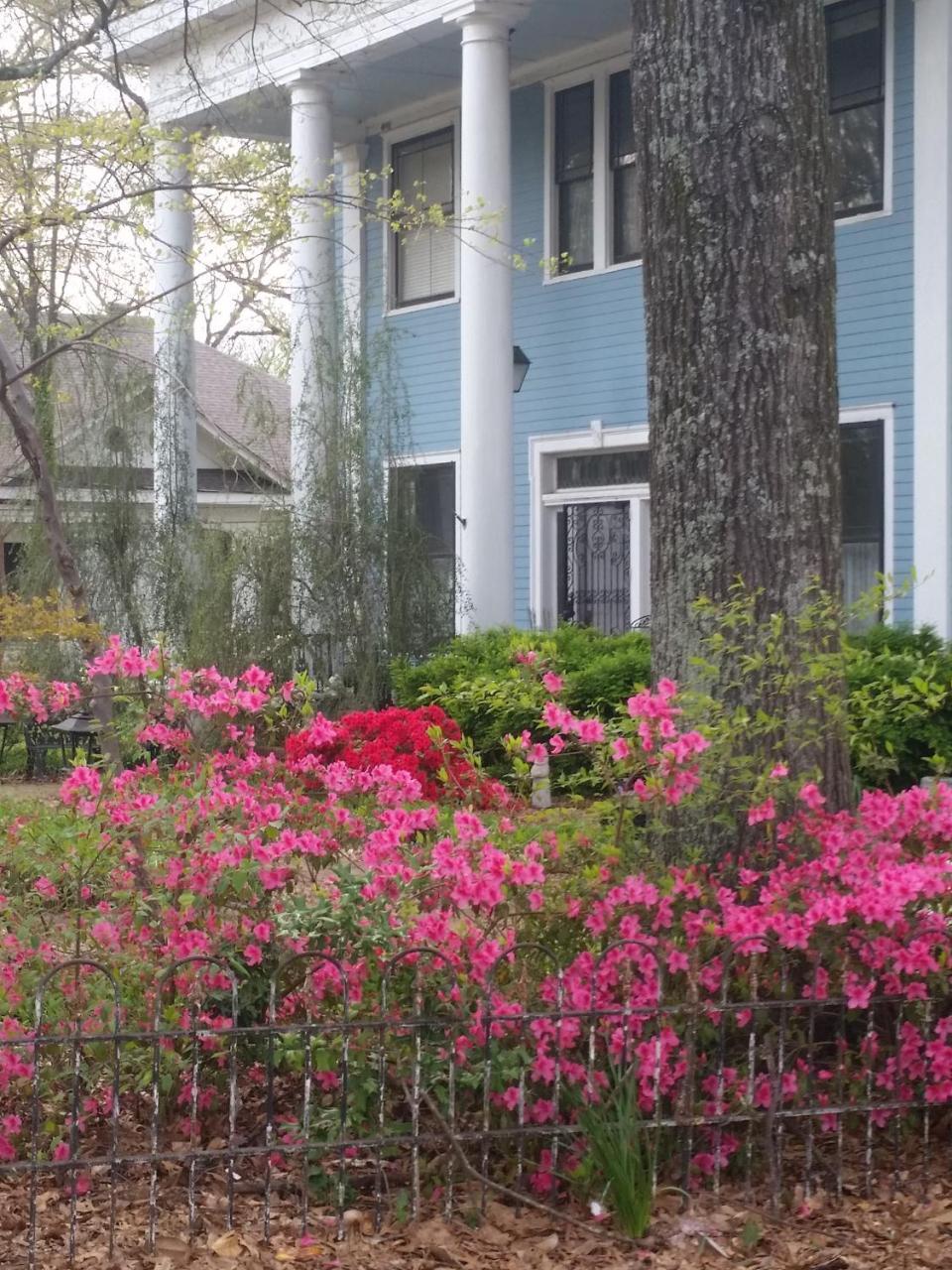 Spahn House Bed And Breakfast 세나토비아 외부 사진
